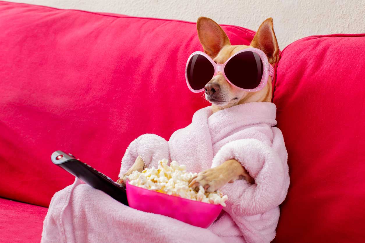 TV Advertising Rates | Best Media Rates